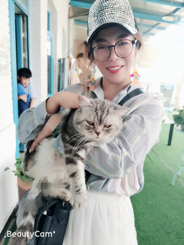 小黑猫的第一张照片--基督教相亲网