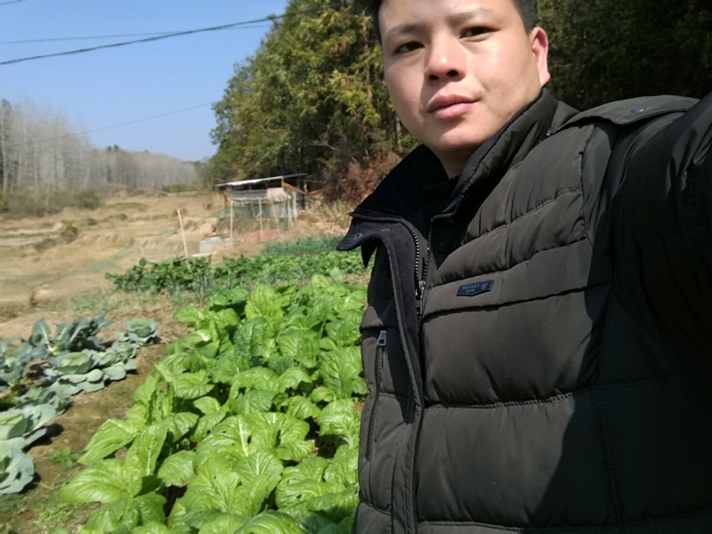 倔强的驴的第一张照片--基督教相亲网