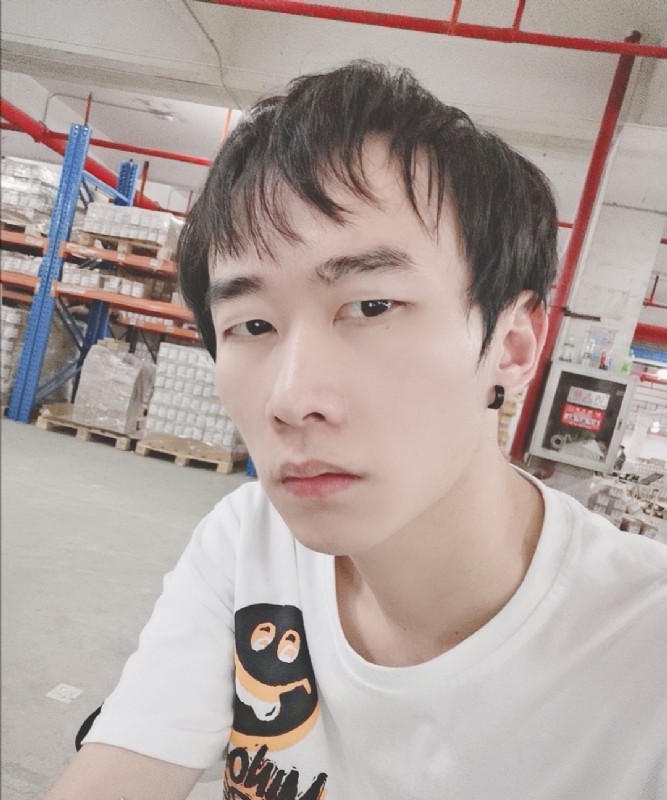 巷子里的猫的第一张照片--基督教相亲网