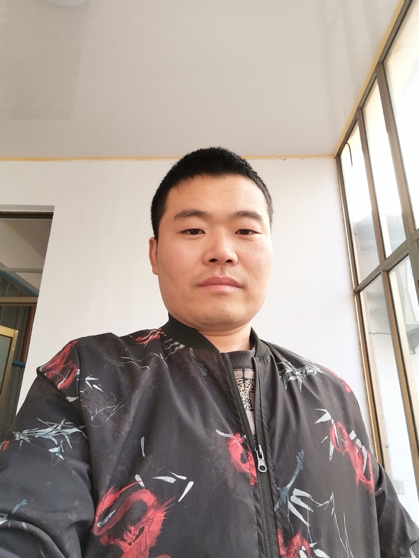 会飞的猪的第一张照片--基督教相亲网