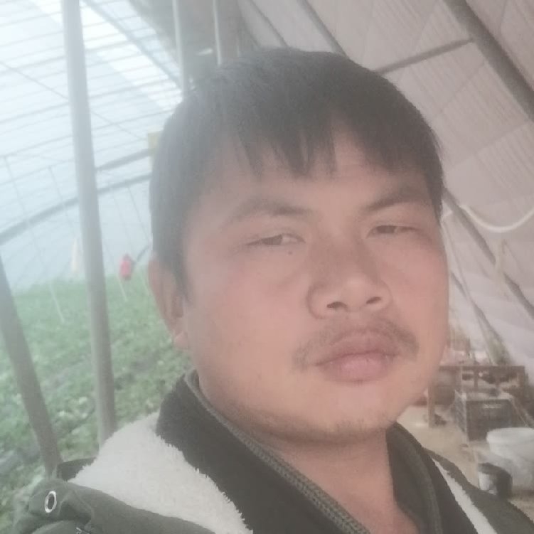 孤狼‘的第一张照片--基督教相亲网